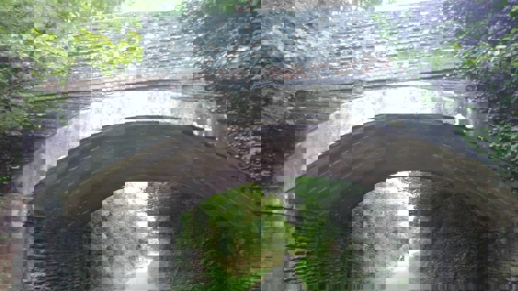 bridge arch overgrown vegetation