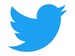 Blue bird Twitter icon