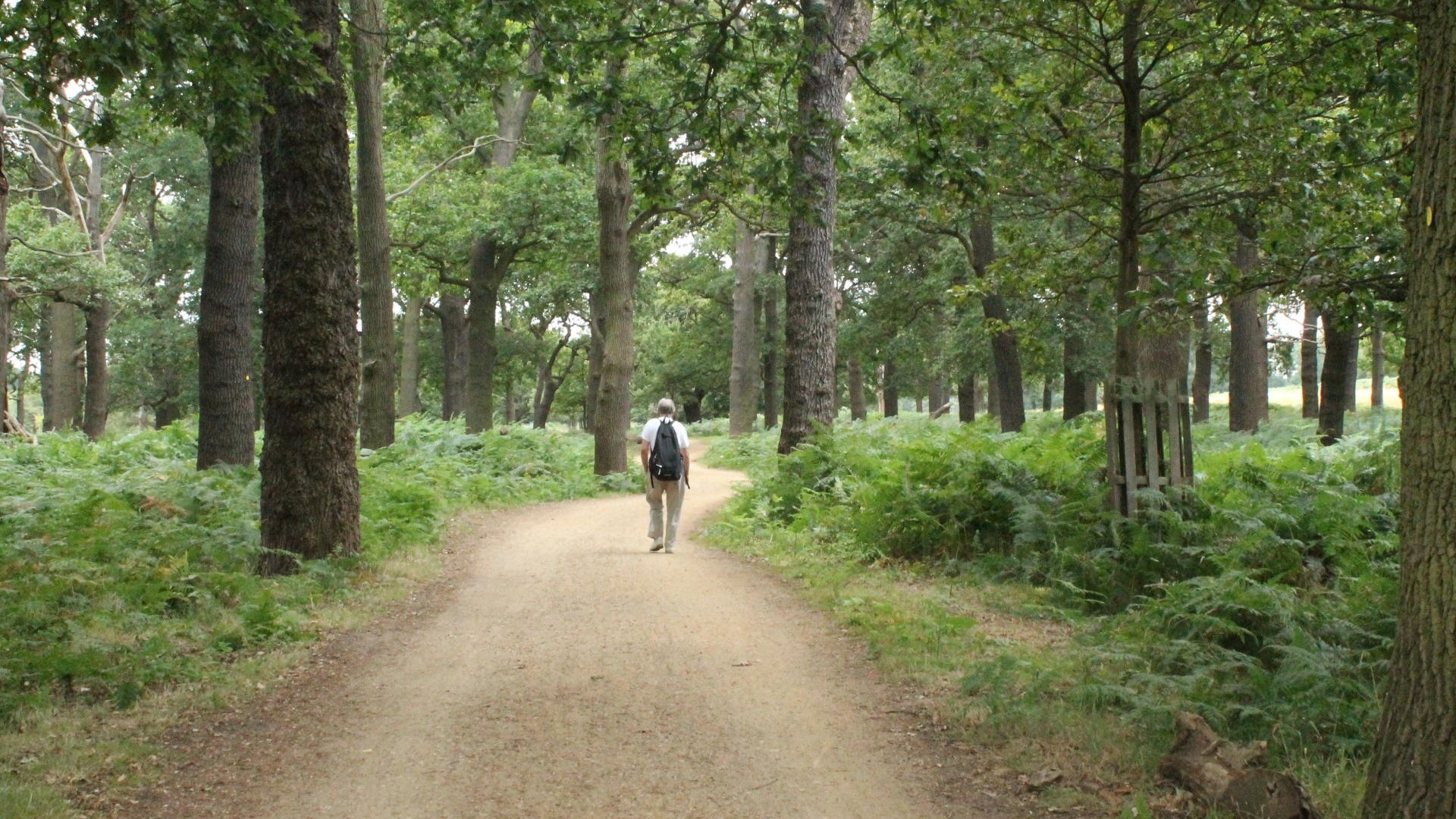 Tamsin Trail at Richmond Park - Sustrans.org.uk