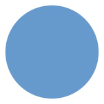 Blue circle Level 1 icon